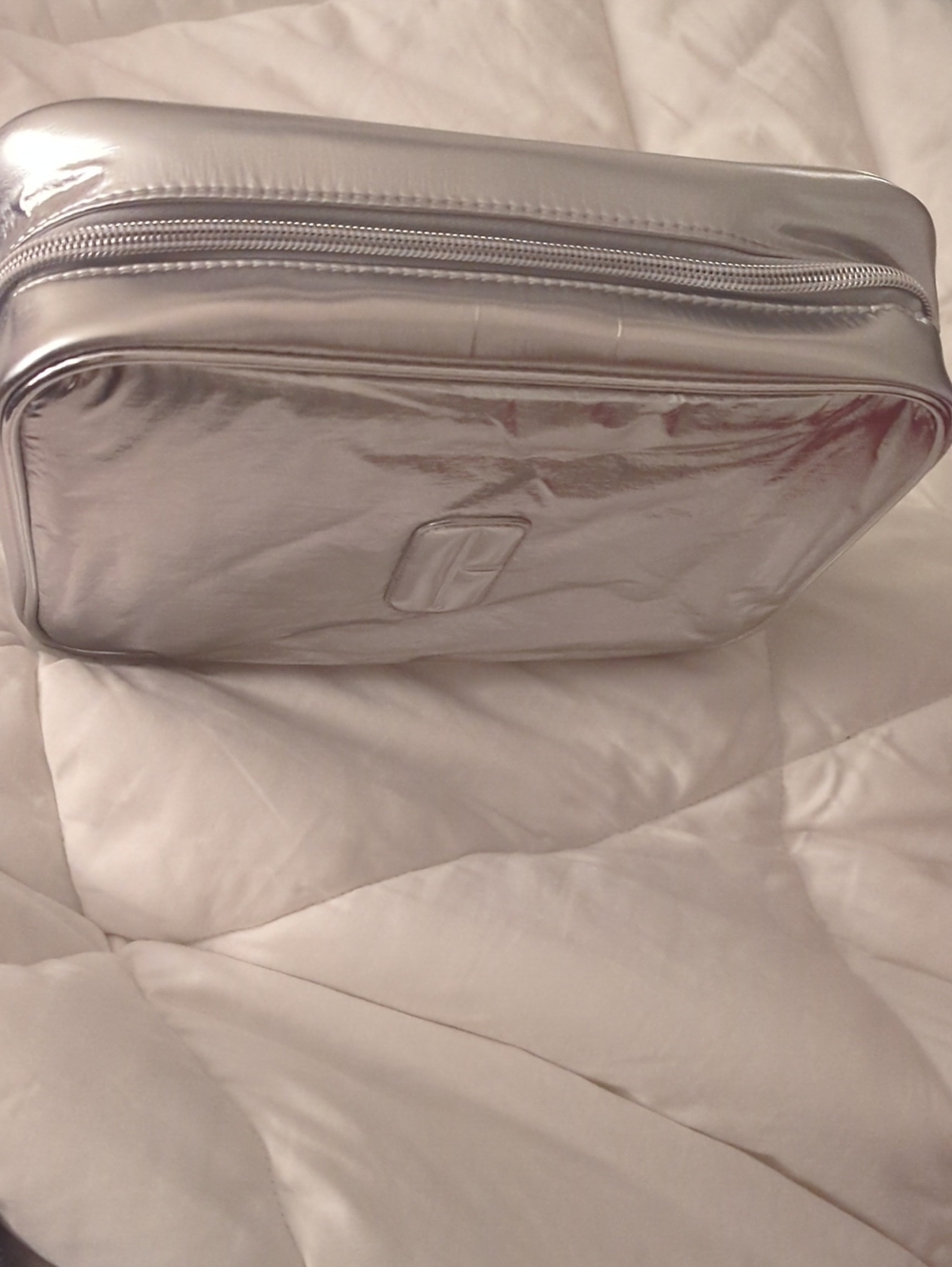 Clinique Metallic Silver Cosmetic Travel Case